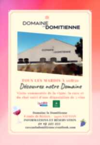 photo VISITE COMMENTEE DOMAINE LA DOMITIENNE