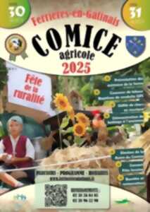 photo Fête du Comice agricole