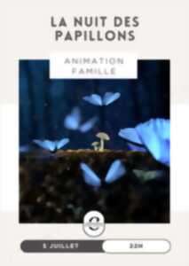 photo La nuit des papillons