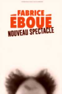 photo Fabrice Eboué - Nouveau Spectacle