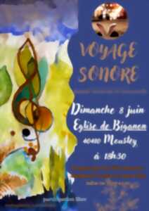 photo Voyage Sonore