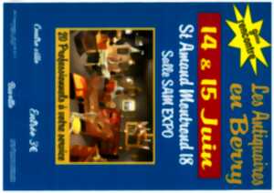 photo Salon des Antiquaires Samexpo