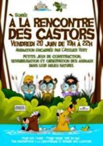 photo Soirée à la rencontre des Castor