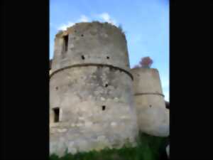 photo Visite de village – Courbehaye