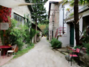 photo LES NOCTURNES AU MOULIN DES ARTS ET DE L'ARTISANAT