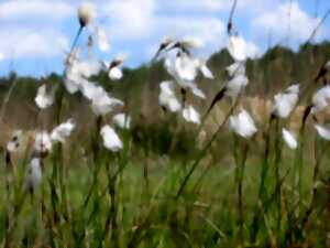 photo A la découverte du Pré Maudit