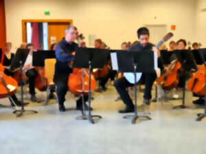 photo Concert - Les Violoncellades