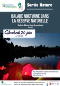 photo Balade nocturne dans la réserve naturelle
