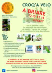 photo Micro-aventure
