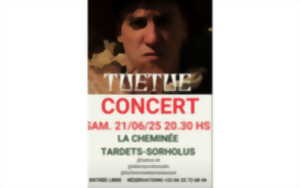 photo Tuetue en concert