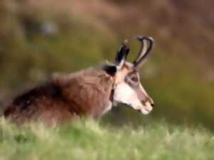 photo Exposition photos nature - Regard sur nos Vosges