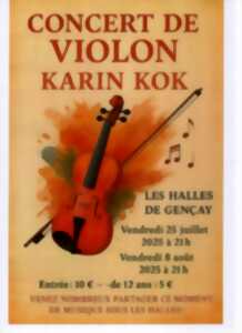 photo Concert au violon