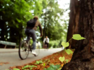 photo Sortie à vélo