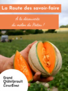 photo À la découverte du melon du Poitou !