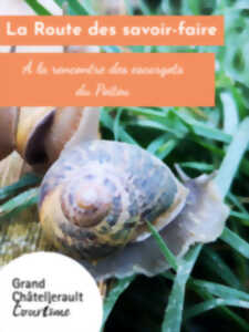 photo À la rencontre des escargots du Poitou