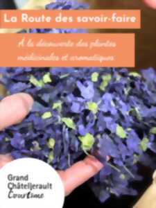 photo À la découverte des plantes médicinales et aromatiques