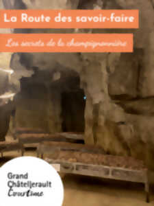 photo Les secrets de la champignonnière