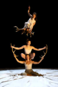photo Faune