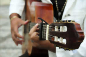 photo Concert Dimelotu
