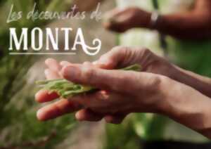 photo À la découverte des plantes sauvages comestibles