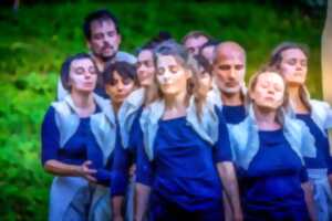 photo Spectacle de danse: Hyphes