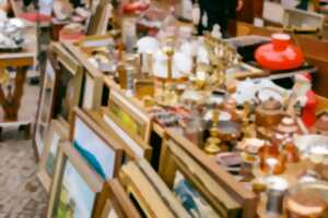 photo Brocante Pro