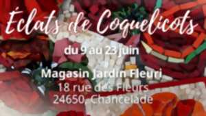 photo Exposition - Eclats de Coquelicots