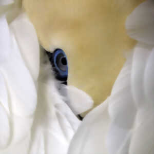 photo Exposition des oeuvres de Mary Robin