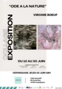 photo Vernissage Exposition : collages de Virginie Bœuf