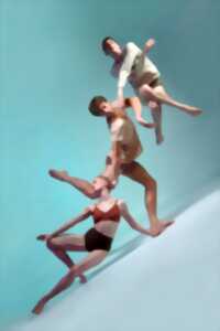 photo Projection du spectacle de danse contemporaine « Twofold »