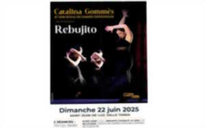 photo Spectacle de Danse Espagnole : Rebujito
