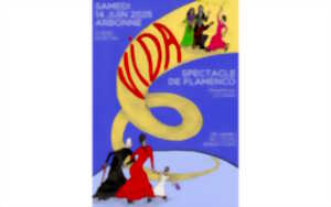 photo Spectacle de flamenco