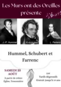 photo Concert pour piano et cordes, dans le cadre du Festival Les Murs ont des Oreilles