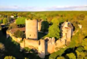 photo 11ème Fête médiévale au château-fort de Montreuil-Bonnin