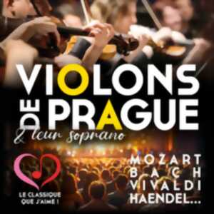 photo VIOLONS DE PRAGUE