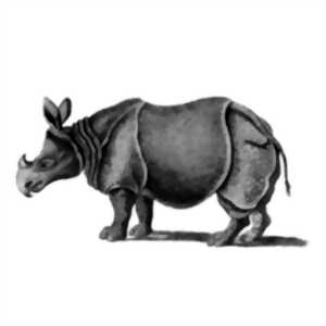 photo SI J'ÉTAIS ... UN RHINOCÉROS