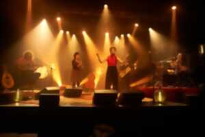 photo Concert de Manzila