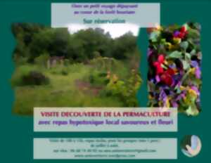 photo Visite découverte de la permaculture