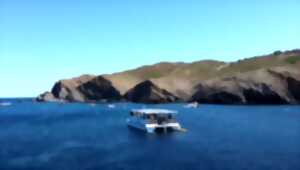 photo SNORKELING LIBRE A BORD D'UN CATAMARAN ELECTRIQUE