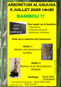 photo Journée Bambou