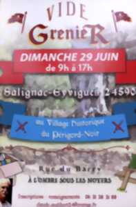 photo Vide-grenier à Salignac - Village Historique du Périgord Noir