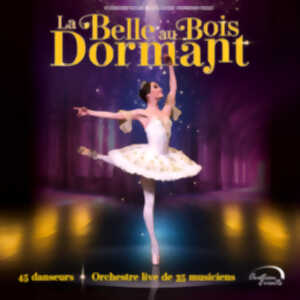 photo La Belle au Bois Dormant