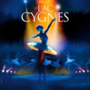 photo Le Lac des Cygnes