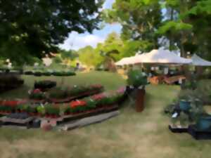 photo La Fête des plantes et du jardin à Prissé-la-Charrière