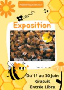 photo Exposition 