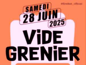 photo Festival Firefest:  vide grenier
