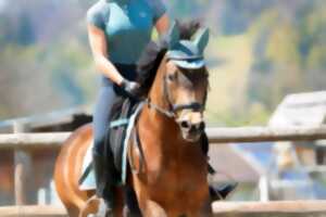 photo Stage d'équitation