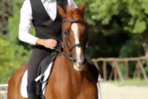 photo Stage d'équitation