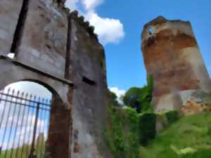 photo Randonnée équestre Château de Brosse et Val d'Anglin