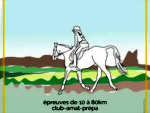 photo Course d'endurance équestre